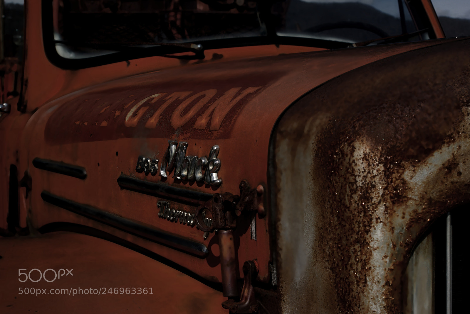 Sony Alpha DSLR-A230 sample photo. Mack attack photography