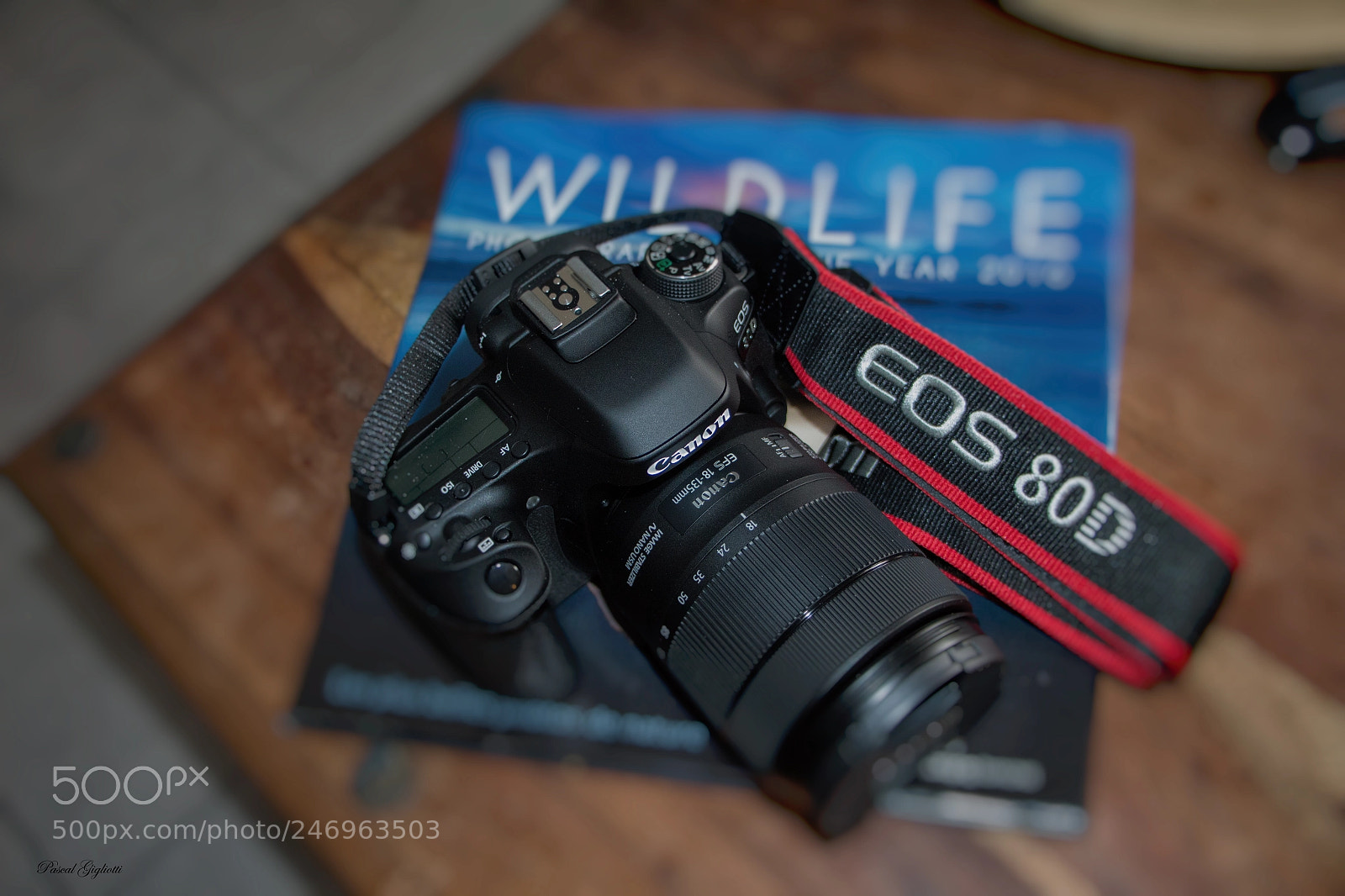 Canon EOS 700D (EOS Rebel T5i / EOS Kiss X7i) sample photo. Enjoy! photography