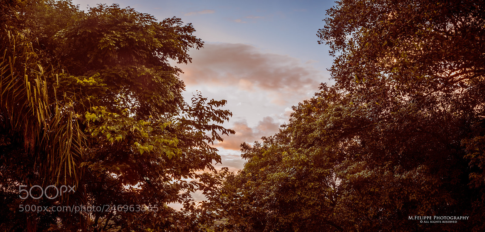 Sony a7S II sample photo. Shade before dark photography