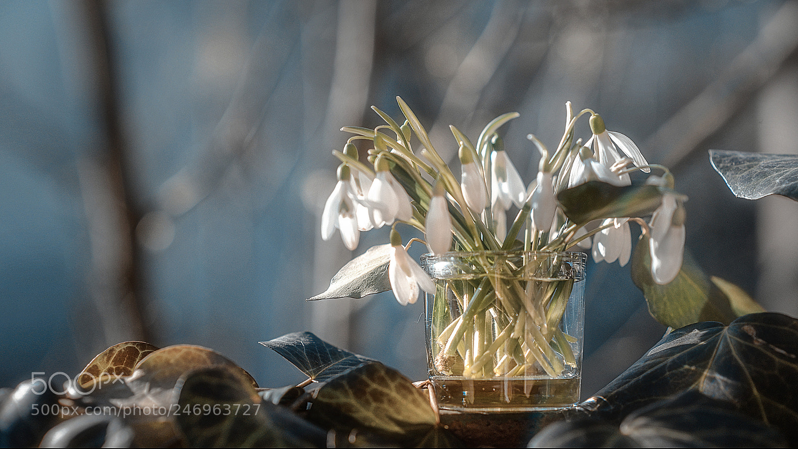 Nikon D610 sample photo. Variations on the theme photography