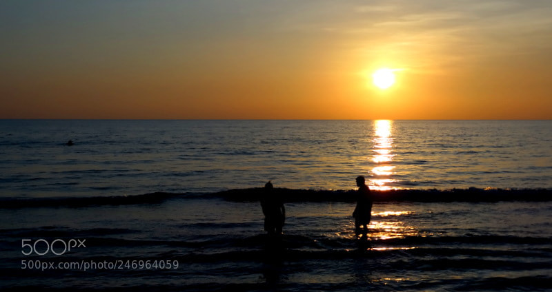 Sony Cyber-shot DSC-HX300 sample photo. Friendship in twilight ..... photography