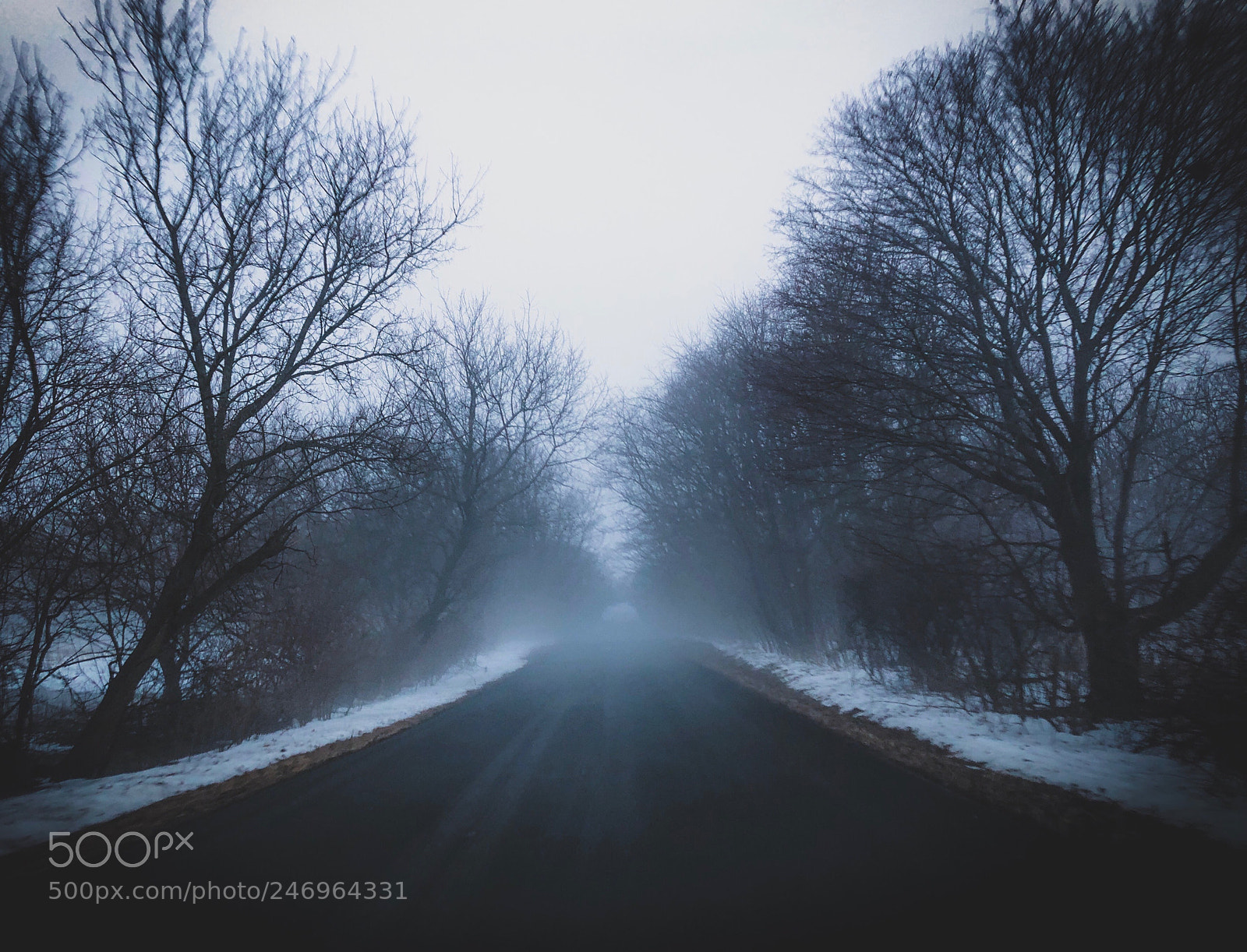 Apple iPhone X sample photo. Fog filled photography