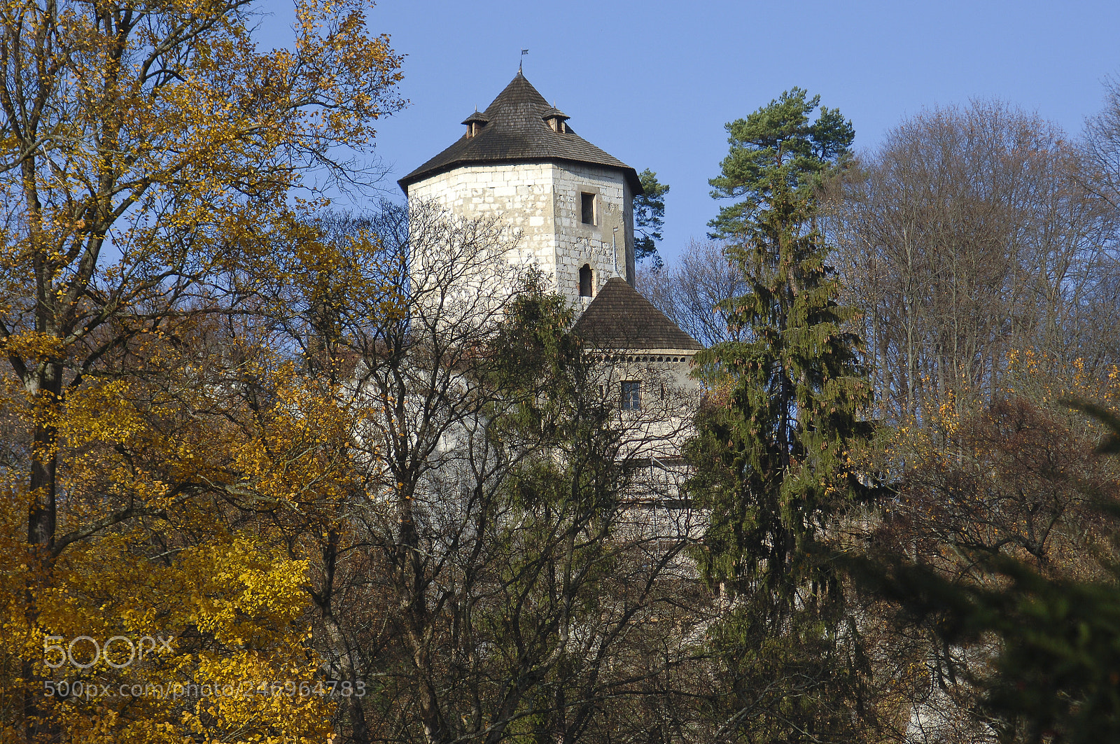 Nikon D2X sample photo. Castle in the forest photography