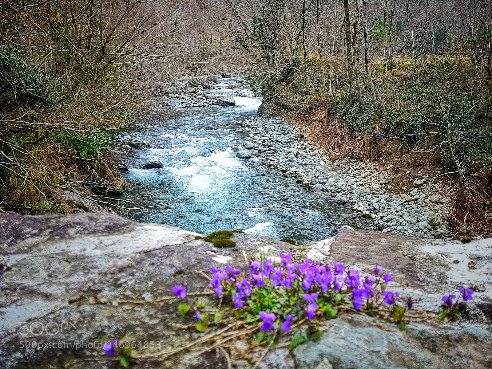 Samsung Galaxy S8 sample photo. Untitled photography
