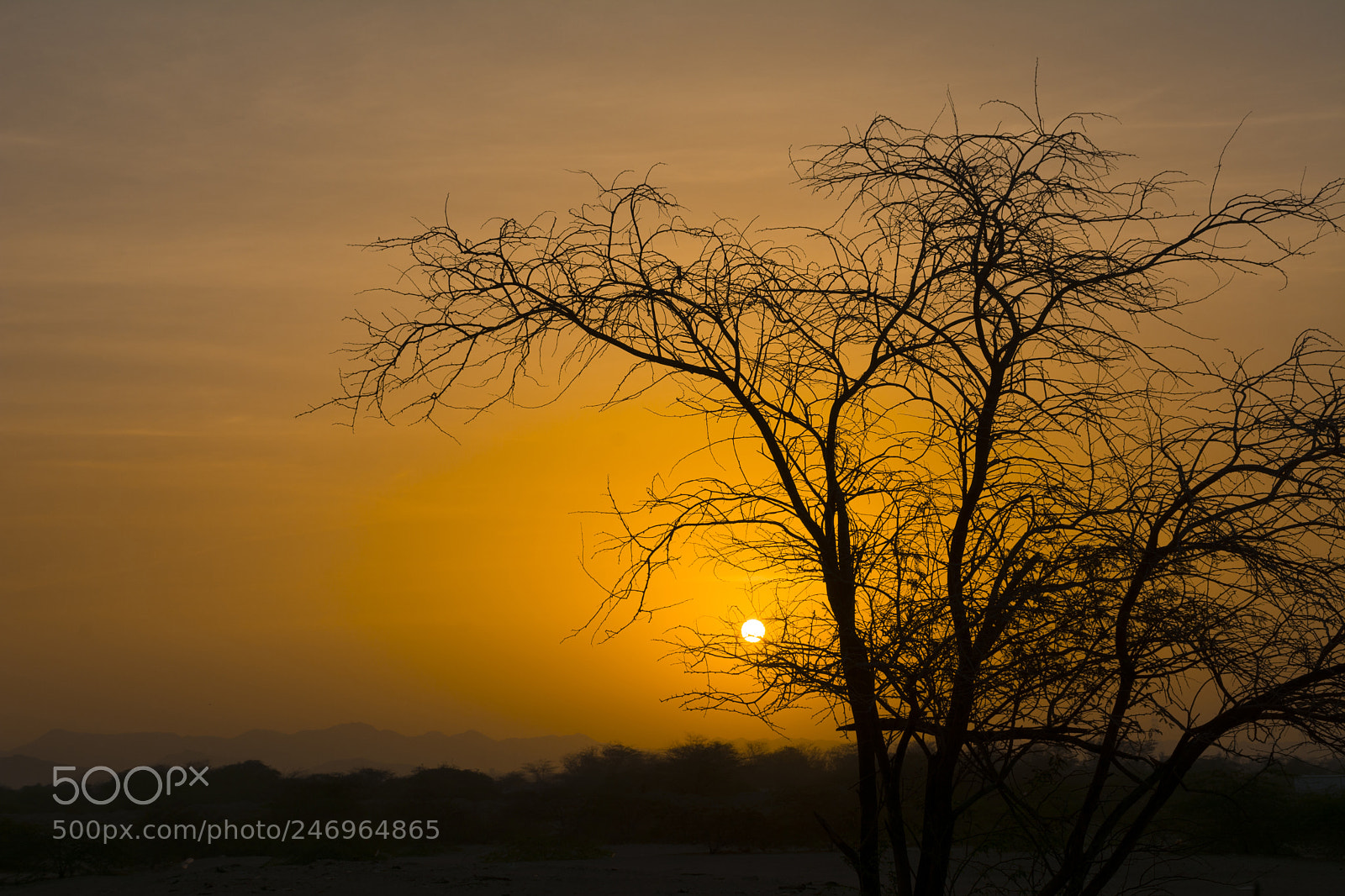 Nikon D7100 sample photo. Sunrise photography