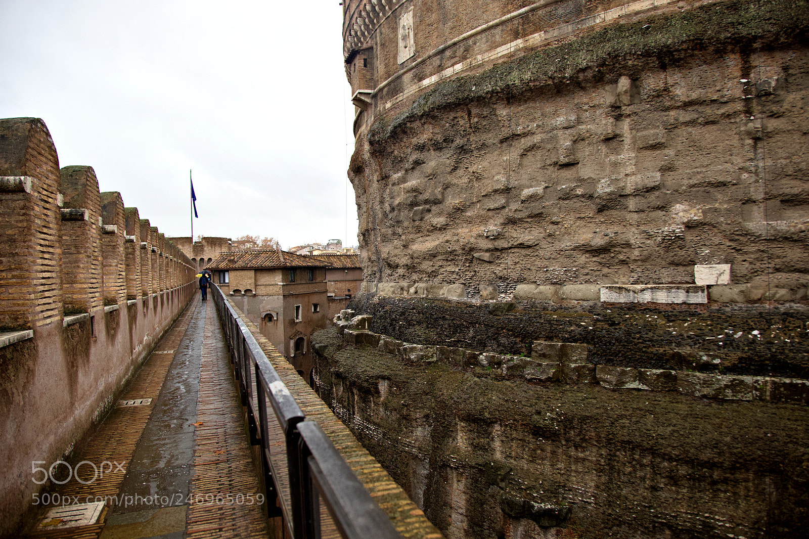Canon EOS 6D + Canon EF 24-105mm F4L IS USM sample photo. Mg photography