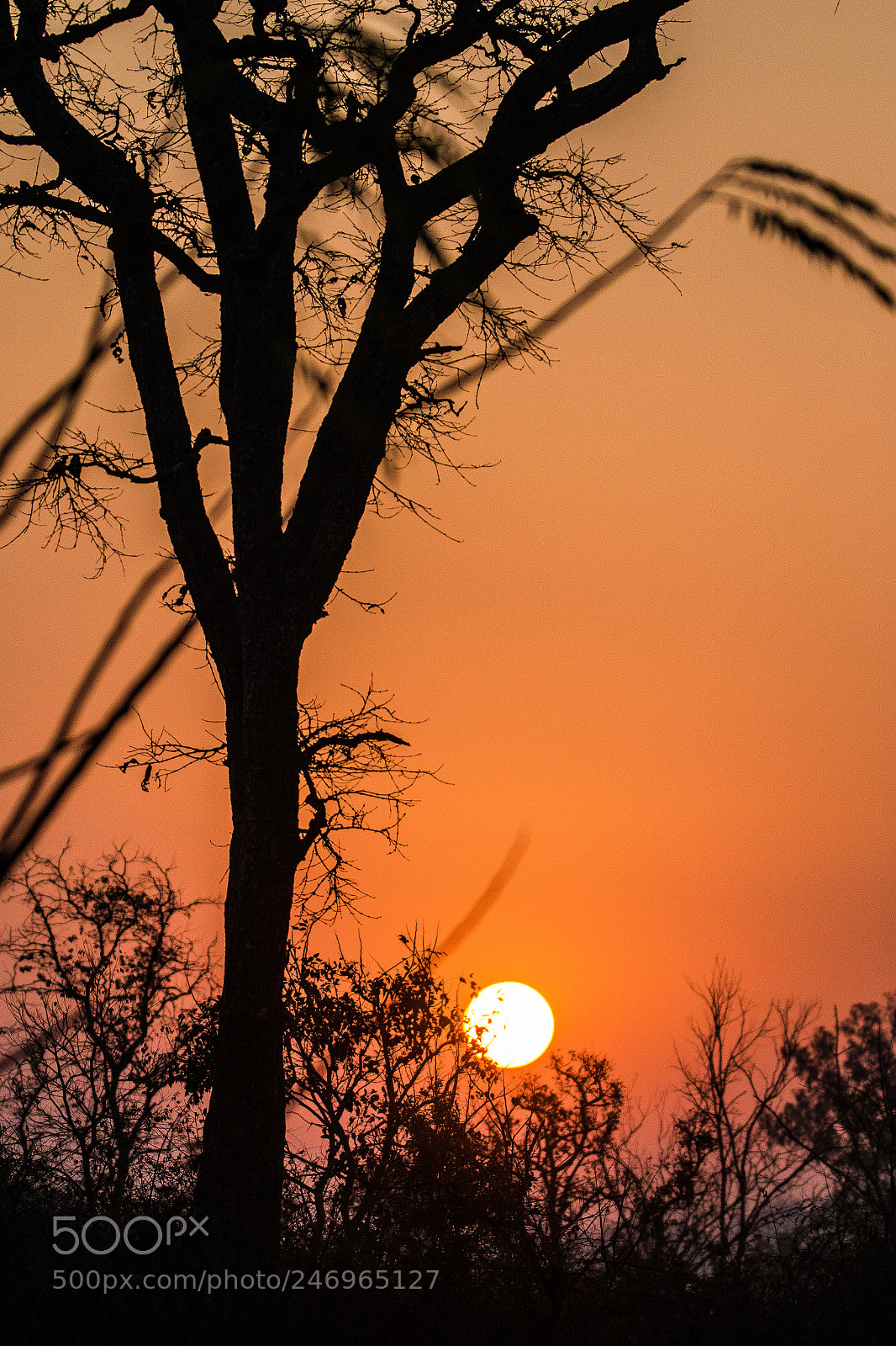 Canon EOS 7D Mark II sample photo. There s always a photography