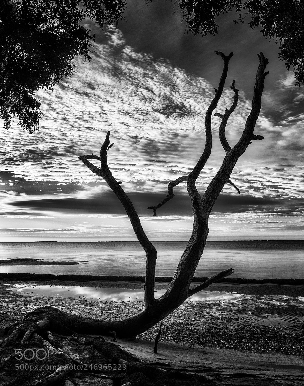 Nikon D810 sample photo. Early morning by the photography