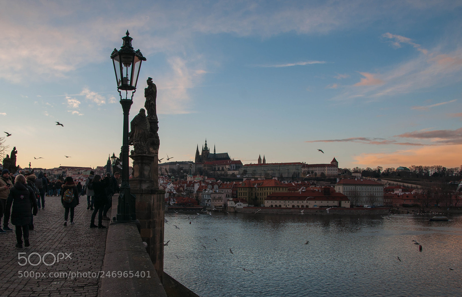 Nikon D90 sample photo. Charles bridge photography