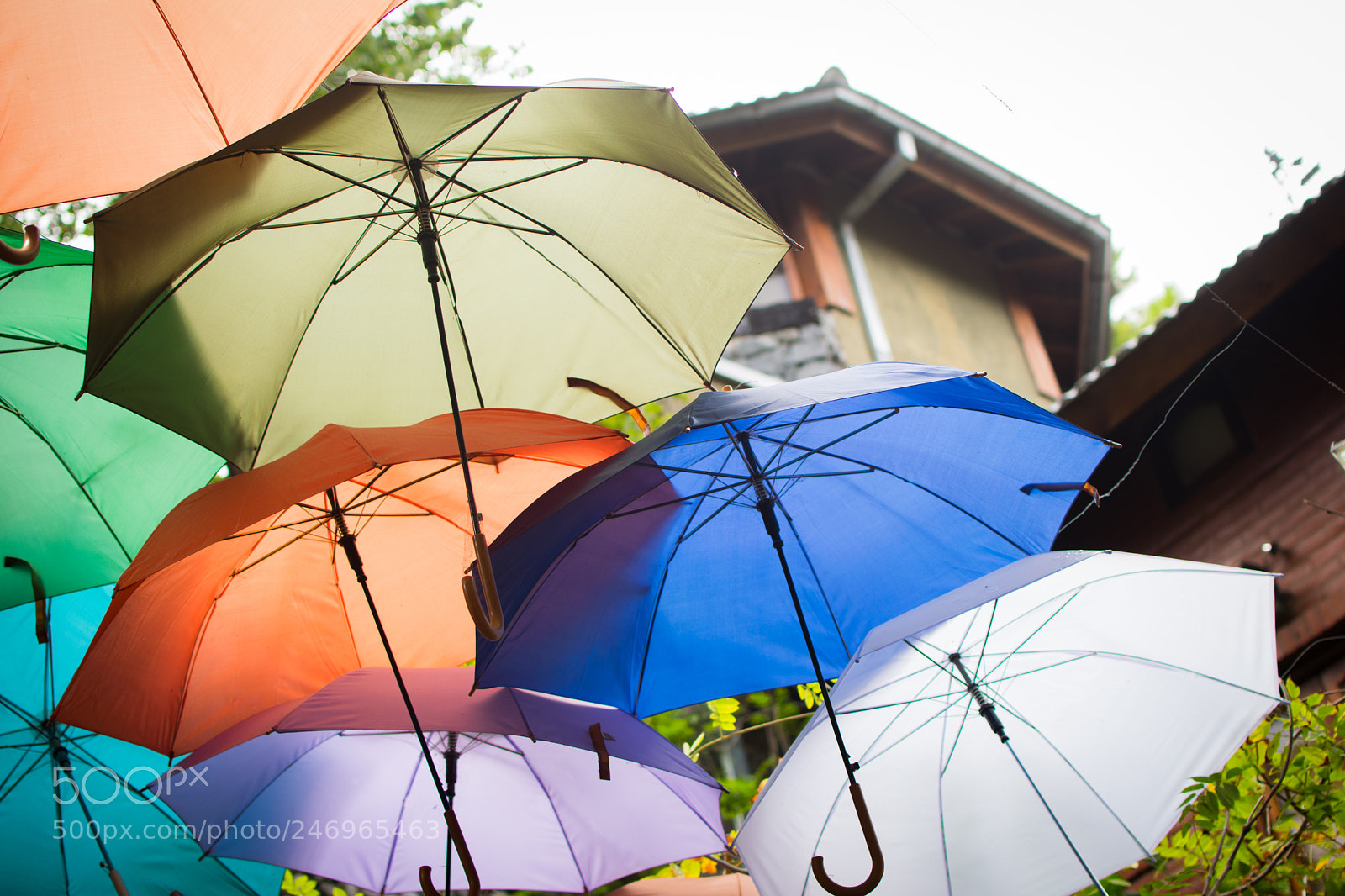Nikon D3300 sample photo. Colorfull umbrellas photography