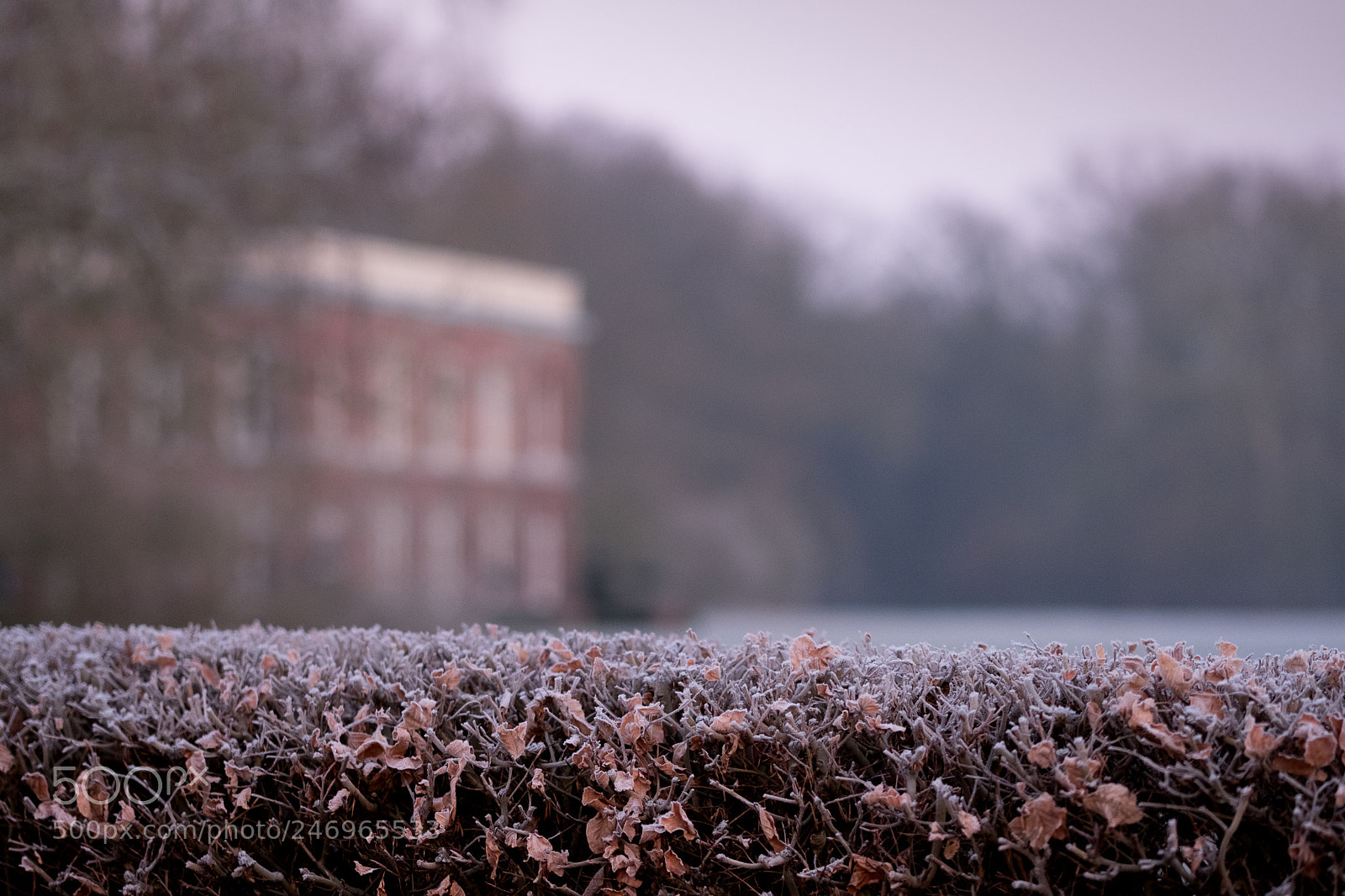 Fujifilm X-T2 sample photo. Frosty days 1 photography
