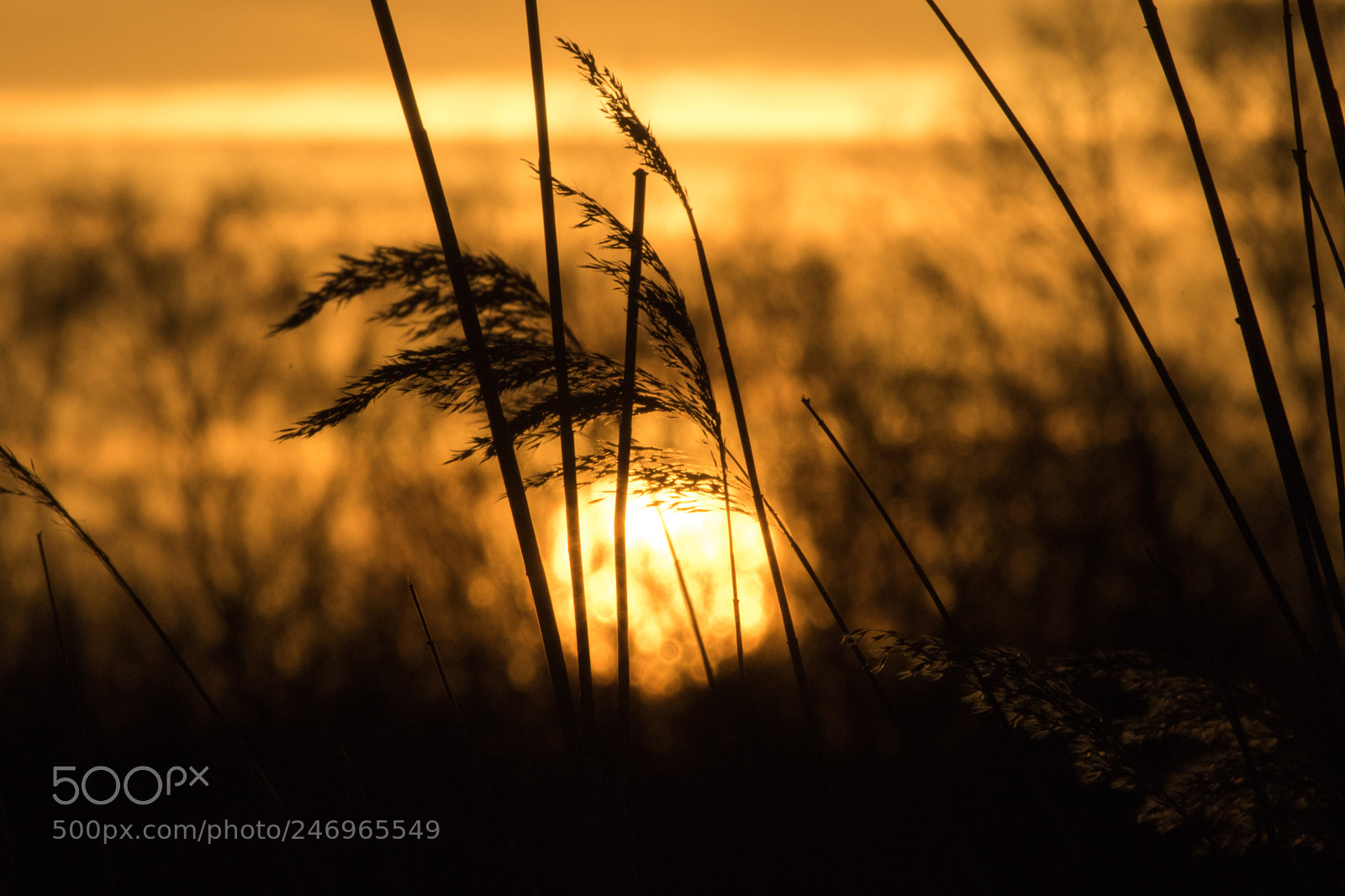 Canon EOS 7D Mark II sample photo. Untitled photography