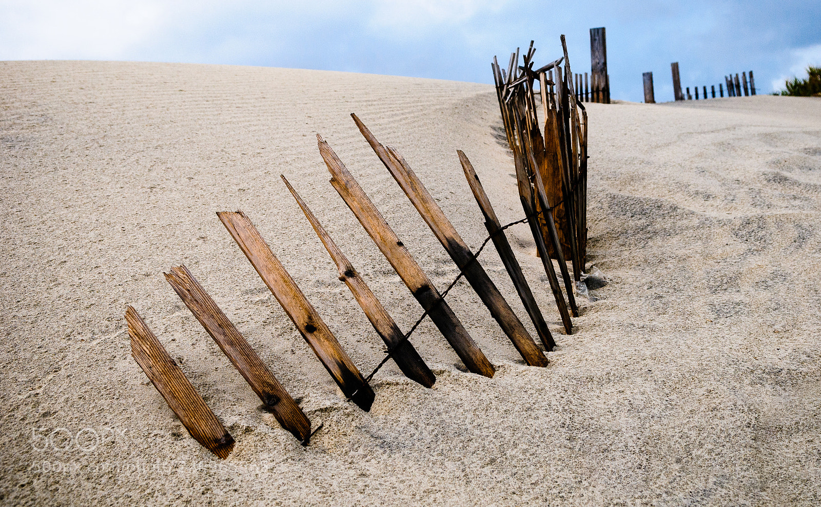 Nikon D300 sample photo. Markroffeyphotography outer banks nc photography