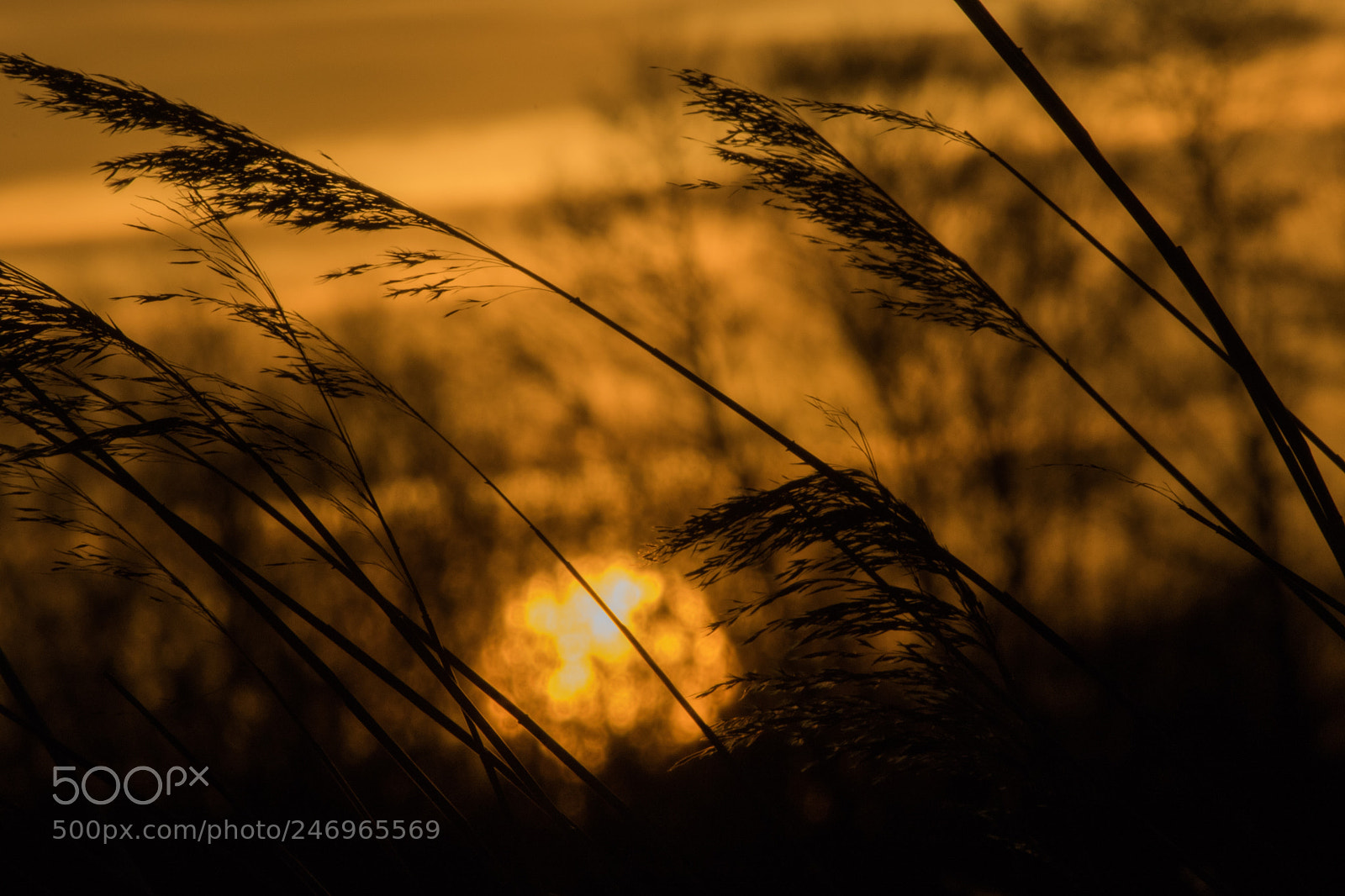 Canon EOS 7D Mark II sample photo. Untitled photography