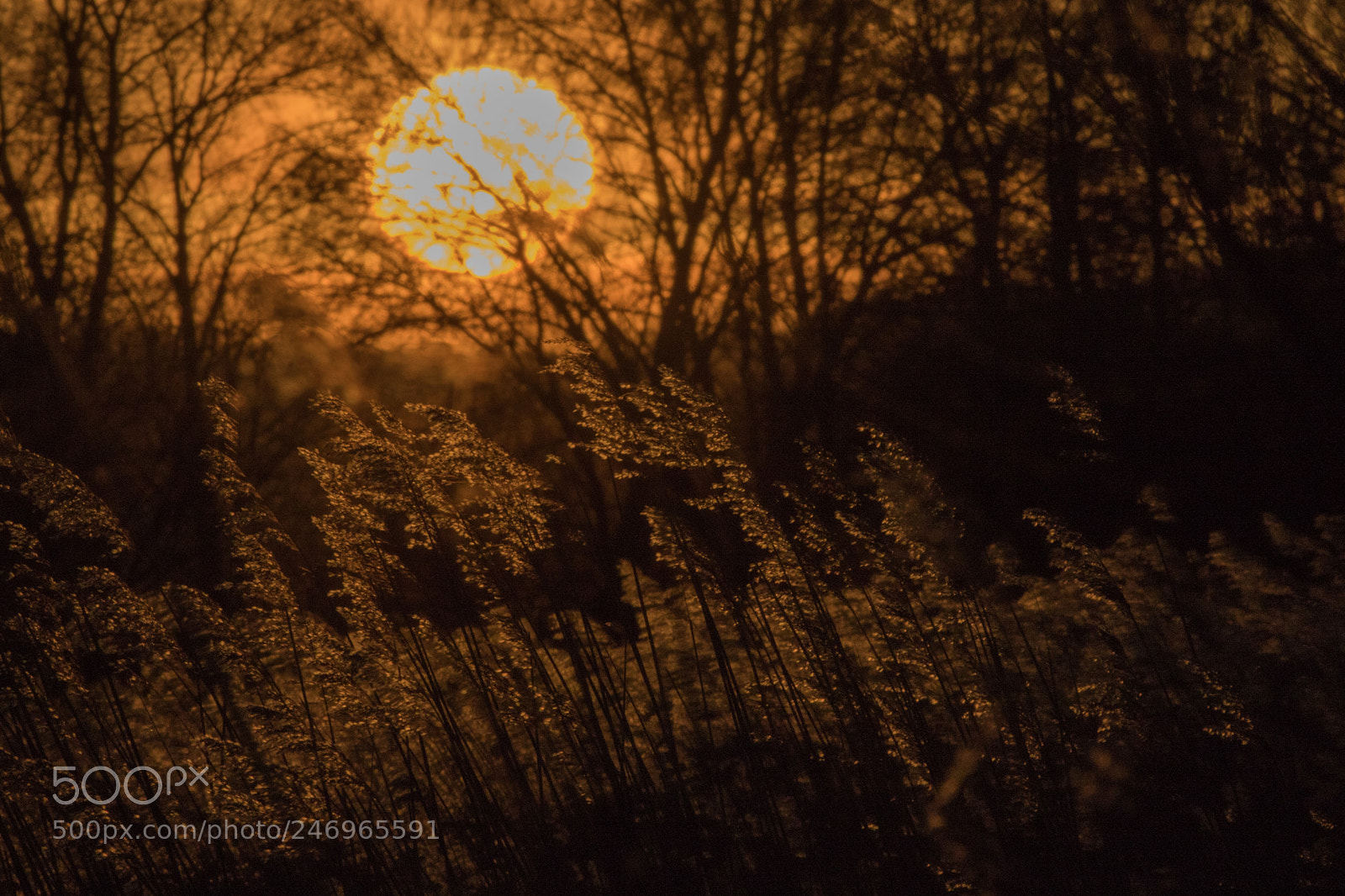 Canon EOS 7D Mark II sample photo. Untitled photography
