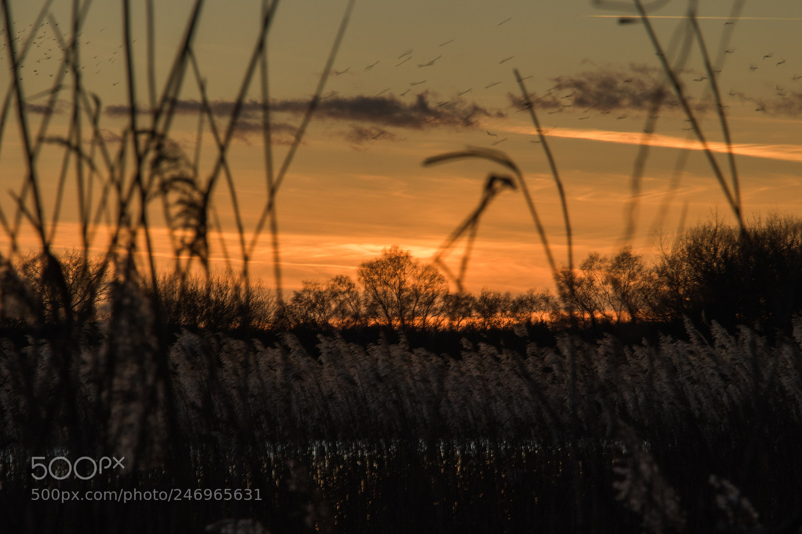 Canon EOS 7D Mark II sample photo. Untitled photography