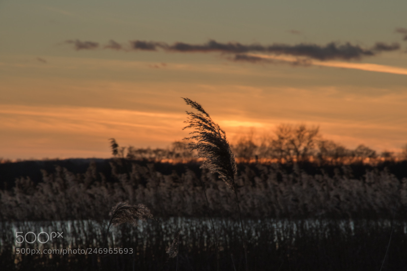 Canon EOS 7D Mark II sample photo. Untitled photography