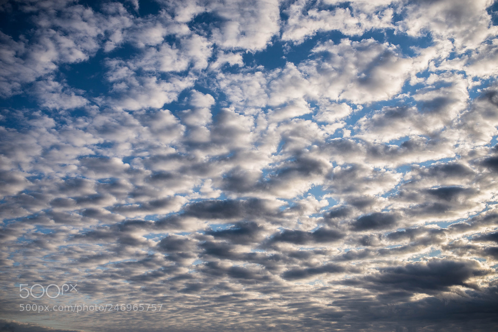 Nikon D610 sample photo. The sky photography