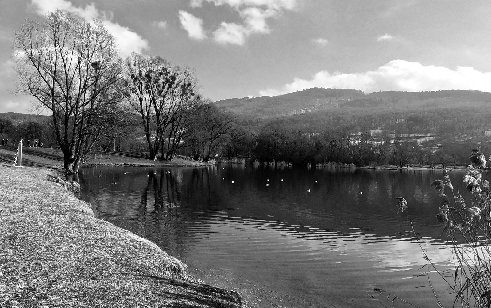 GoPro Hero6 Black sample photo. Lake in winter photography