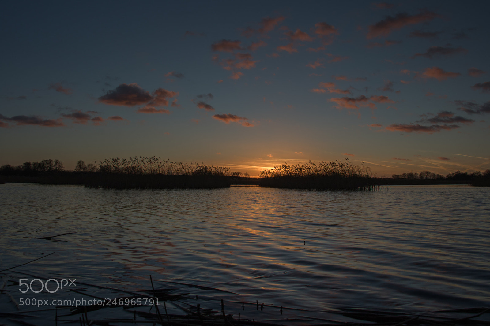 Canon EOS 7D Mark II sample photo. Untitled photography