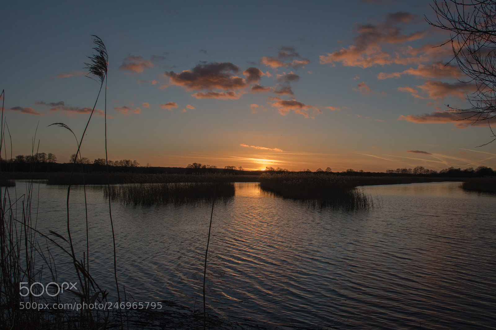 Canon EOS 7D Mark II sample photo. Untitled photography