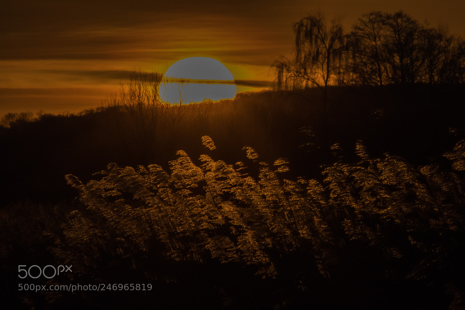Canon EOS 7D Mark II sample photo. Untitled photography