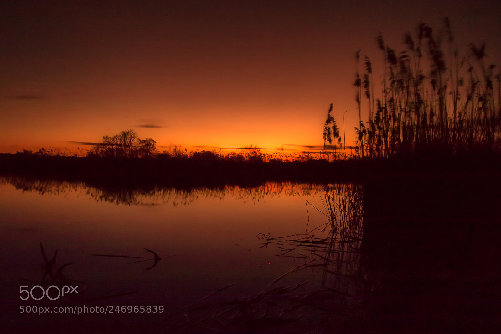 Canon EOS 7D Mark II sample photo. Untitled photography