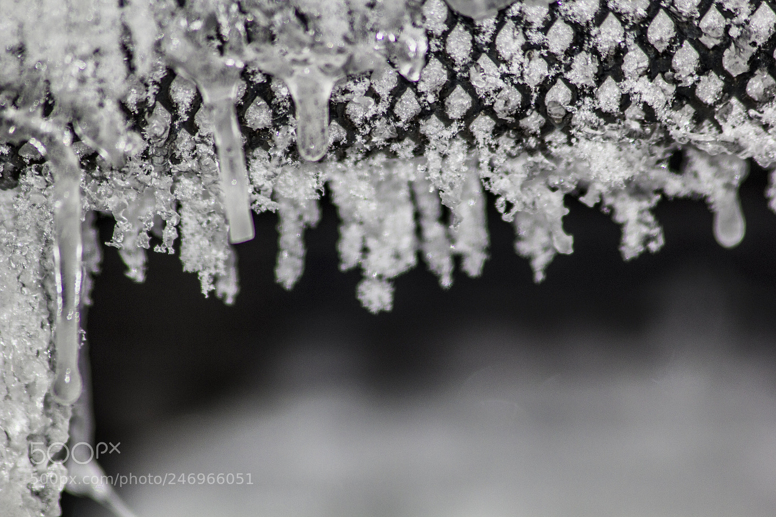 Canon EOS 60D sample photo. Ice crystals macro photography