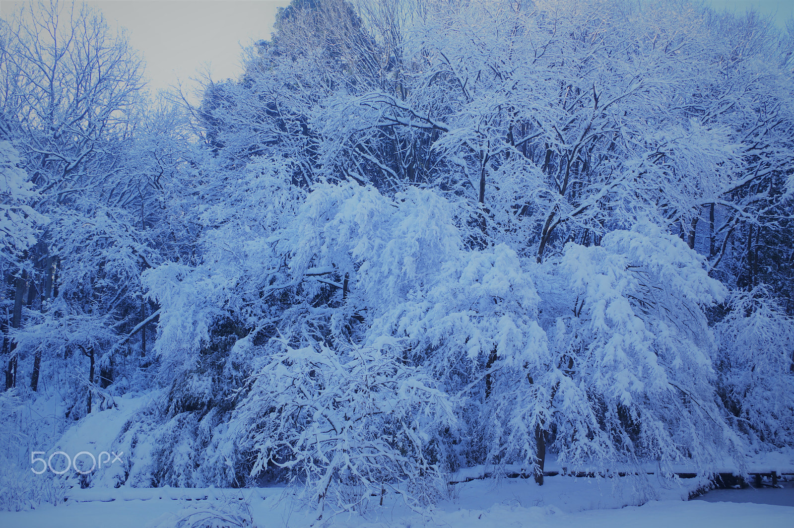 smc PENTAX-DA L 18-55mm F3.5-5.6 sample photo. Winter scene photography