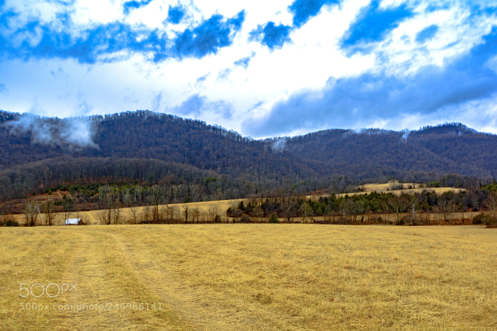 Nikon D7100 sample photo. Road  to the hills photography