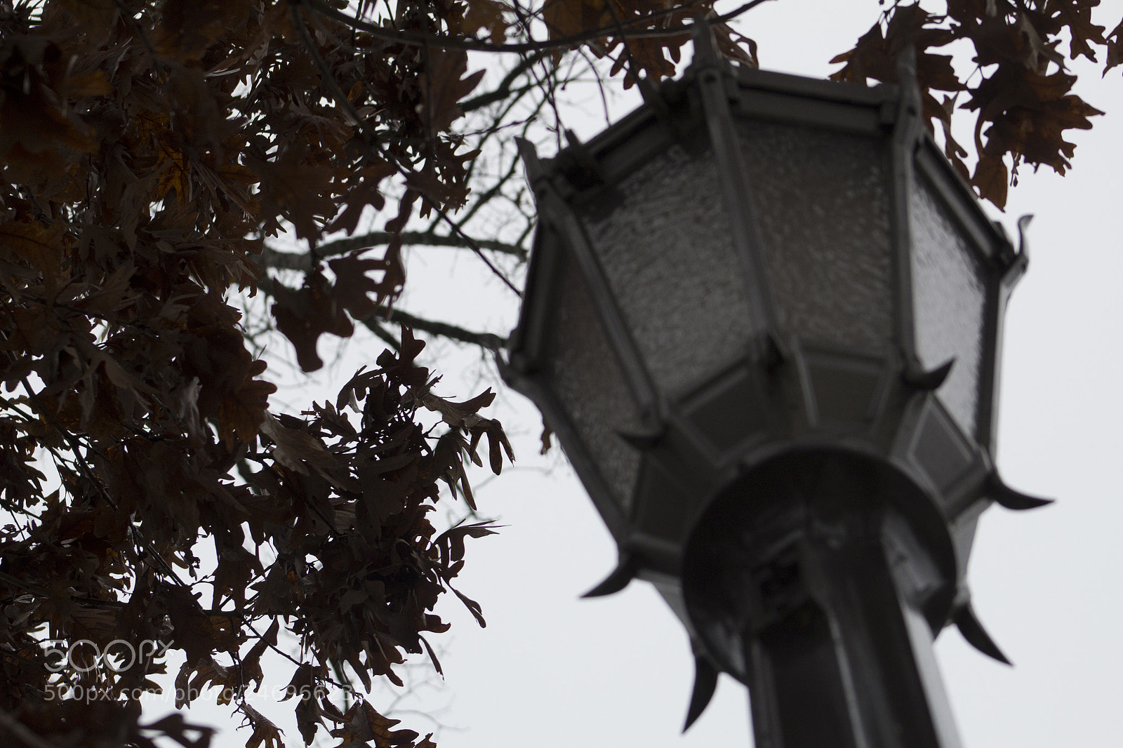 Canon EOS 1200D (EOS Rebel T5 / EOS Kiss X70 / EOS Hi) sample photo. A street light in photography