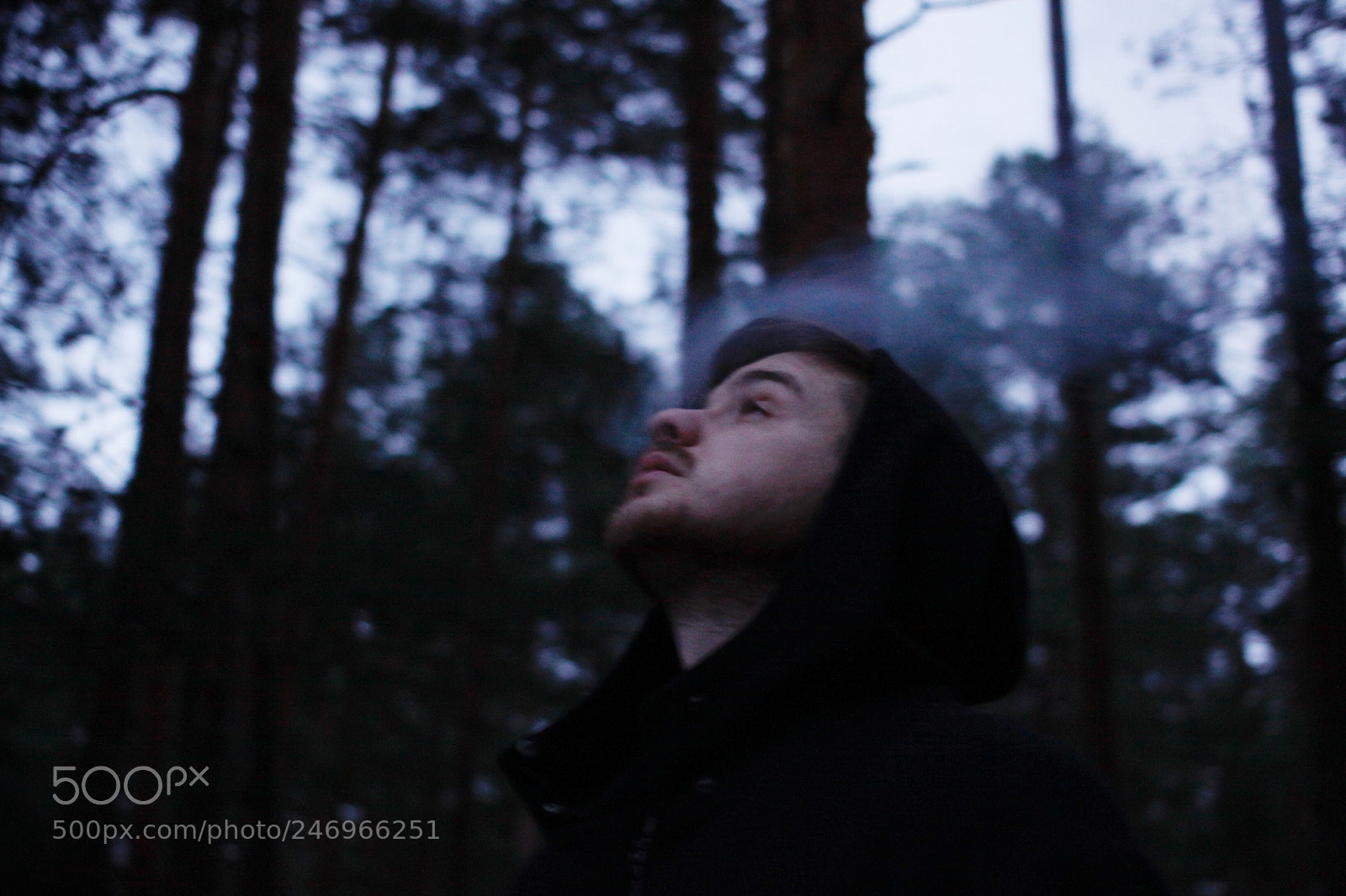 Canon EOS 50D sample photo. Untitled photography