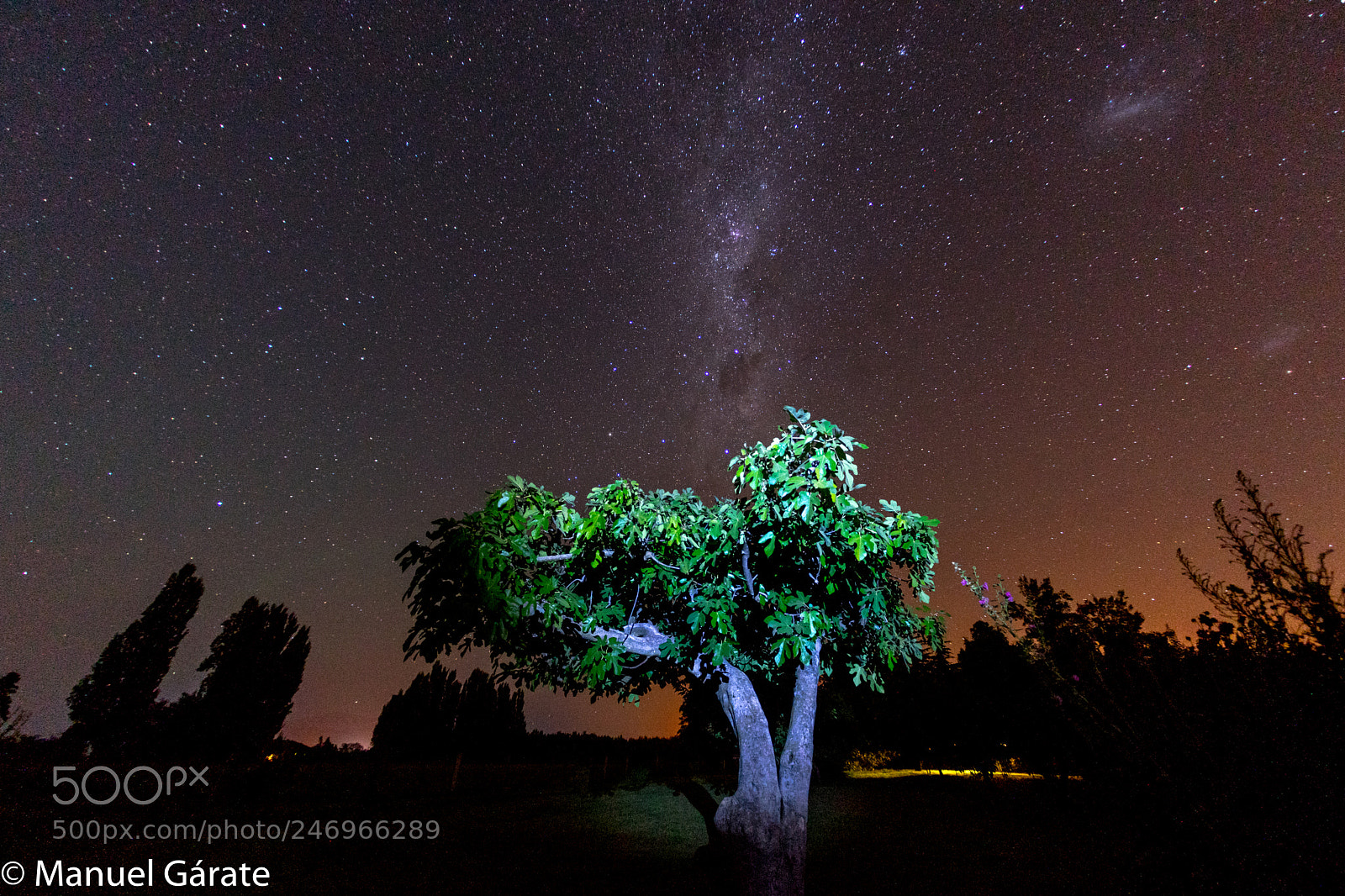 Sony a7 sample photo. Vía lactea pichingal photography