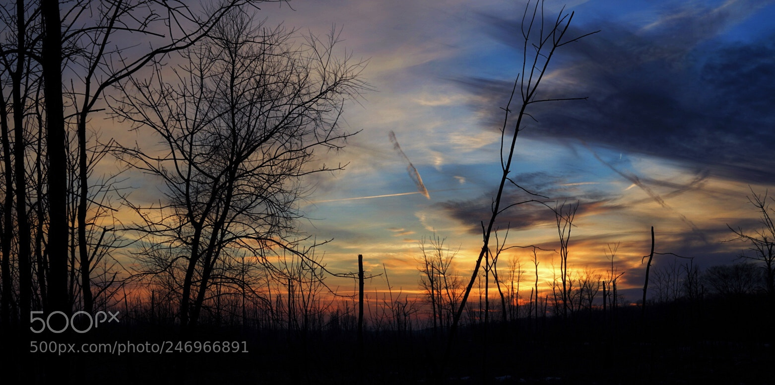 Sony a7 II sample photo. Great marsh beverly shores photography