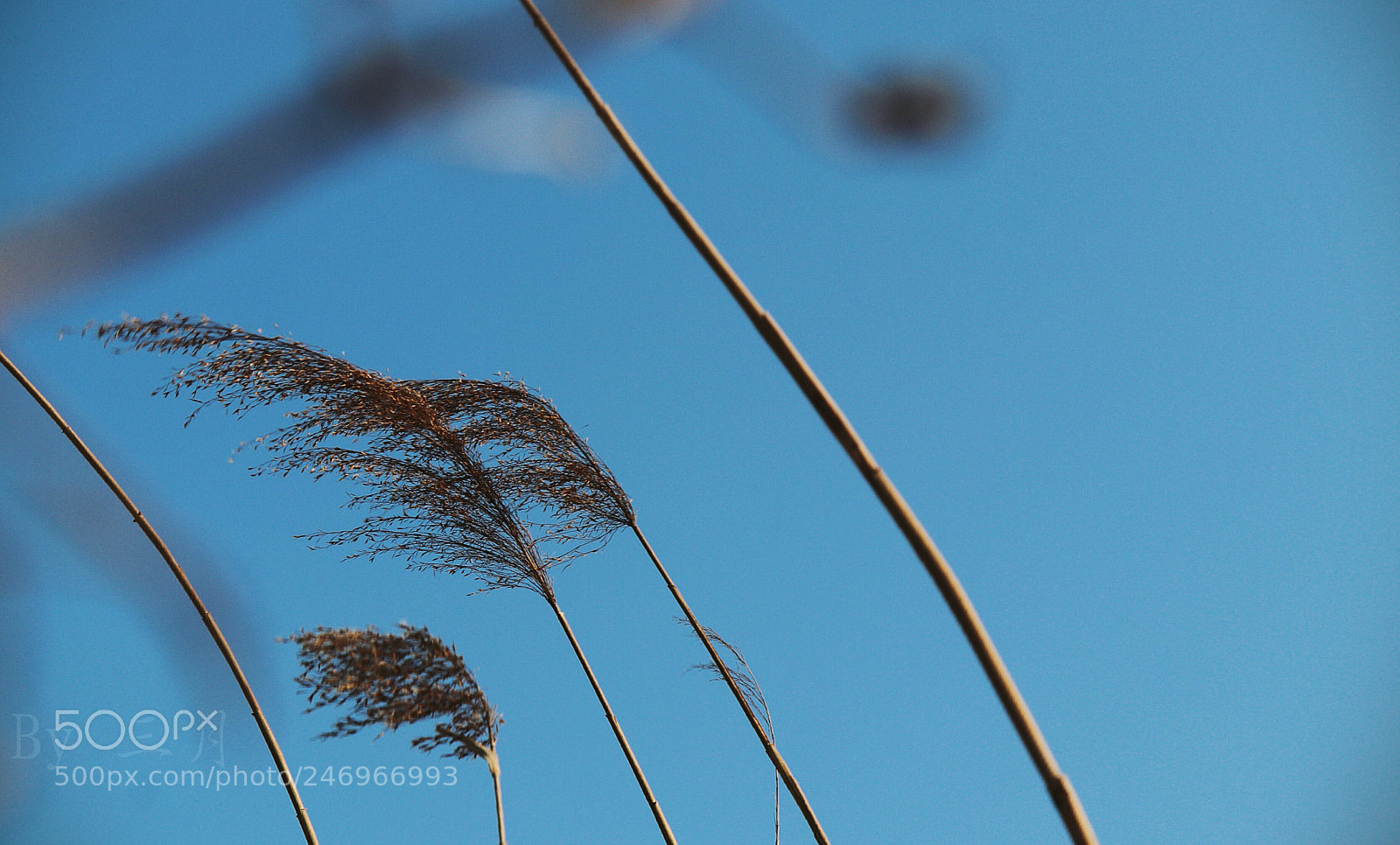 Canon EOS 77D (EOS 9000D / EOS 770D) sample photo. Untitled photography