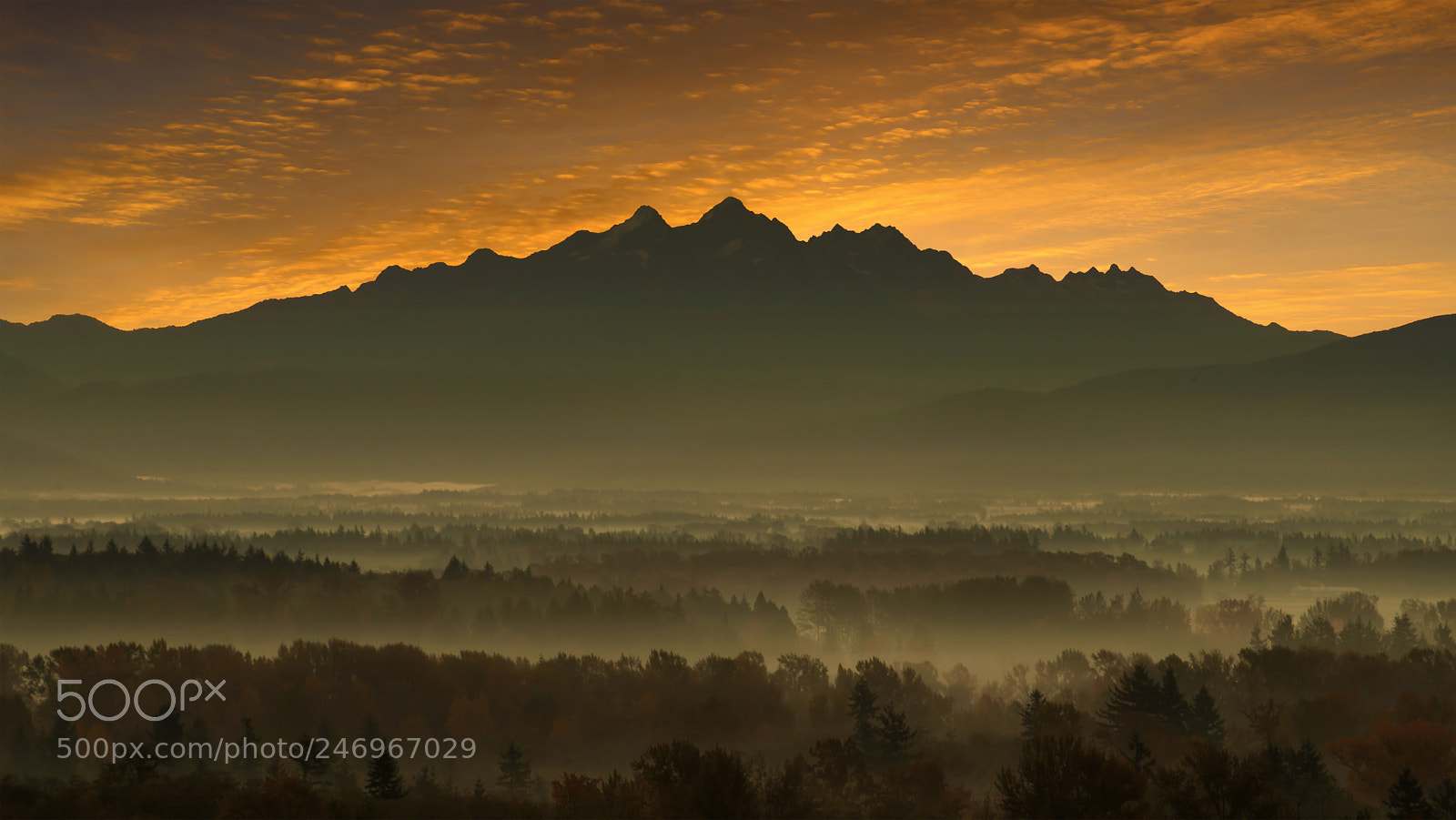 Nikon D800E sample photo. Bellingham sunrise photography
