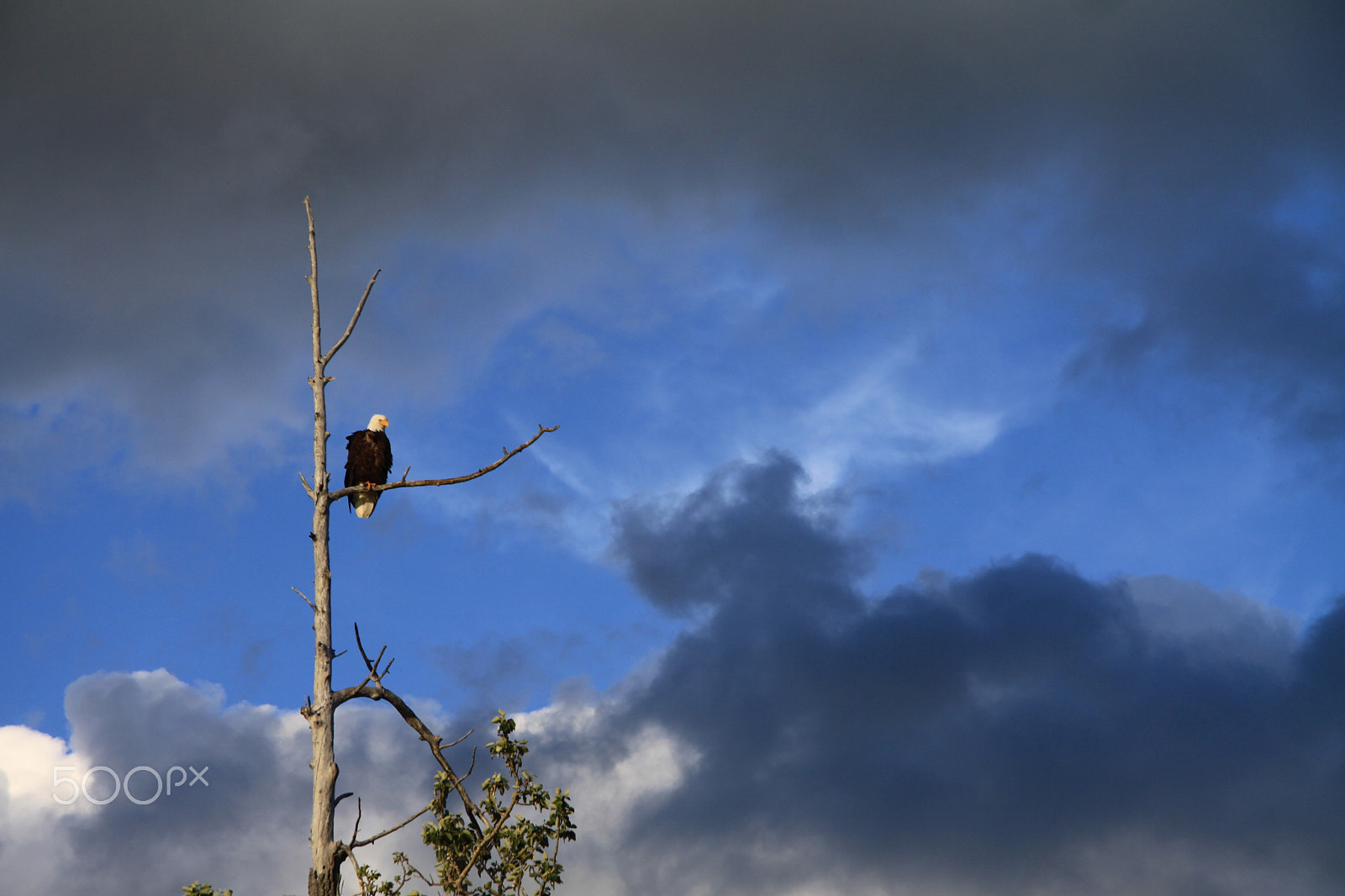 Canon EF-S 17-85mm F4-5.6 IS USM sample photo. Before the storm photography