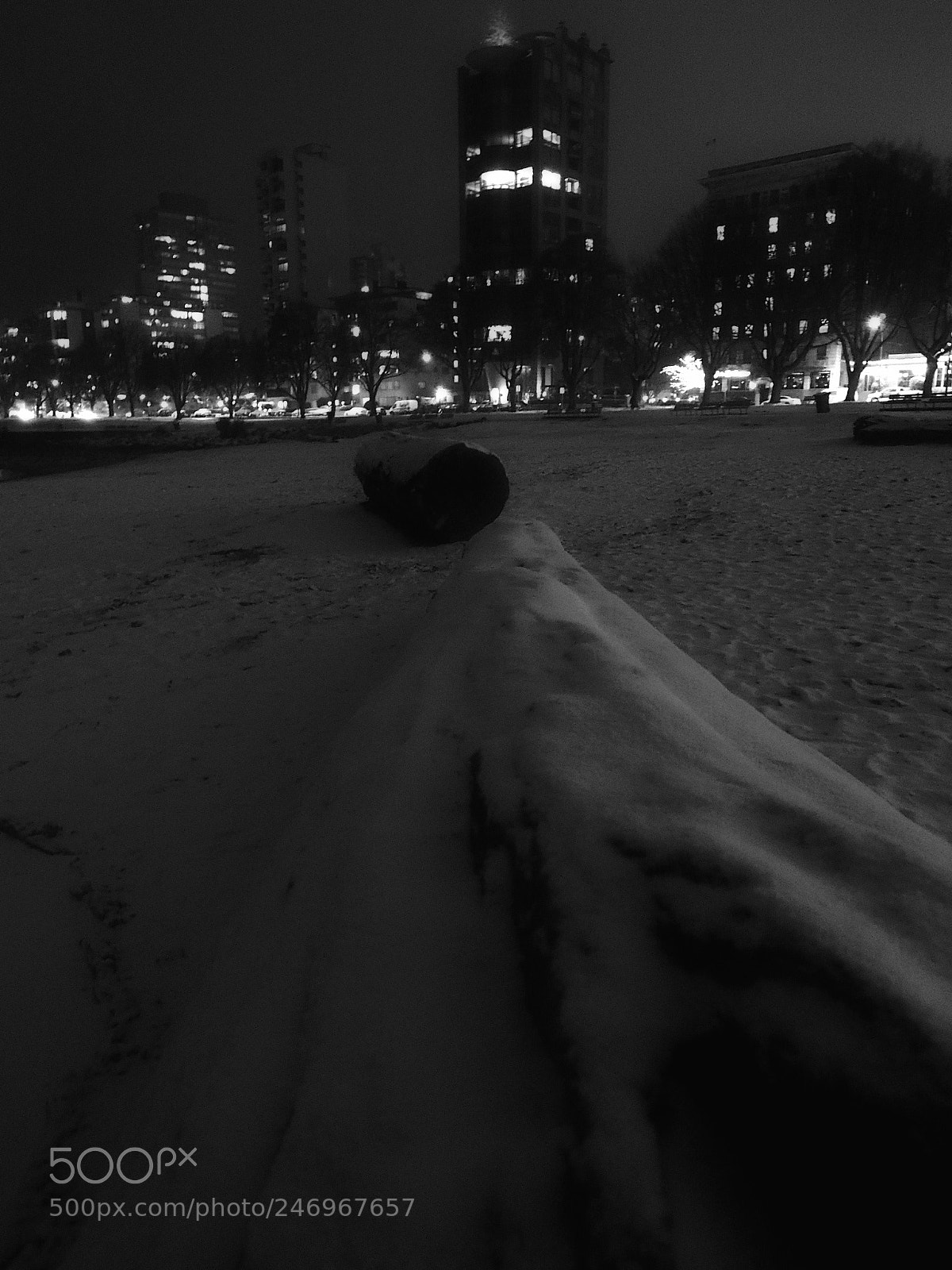 Olympus OM-D E-M5 II sample photo. Can't find my way photography