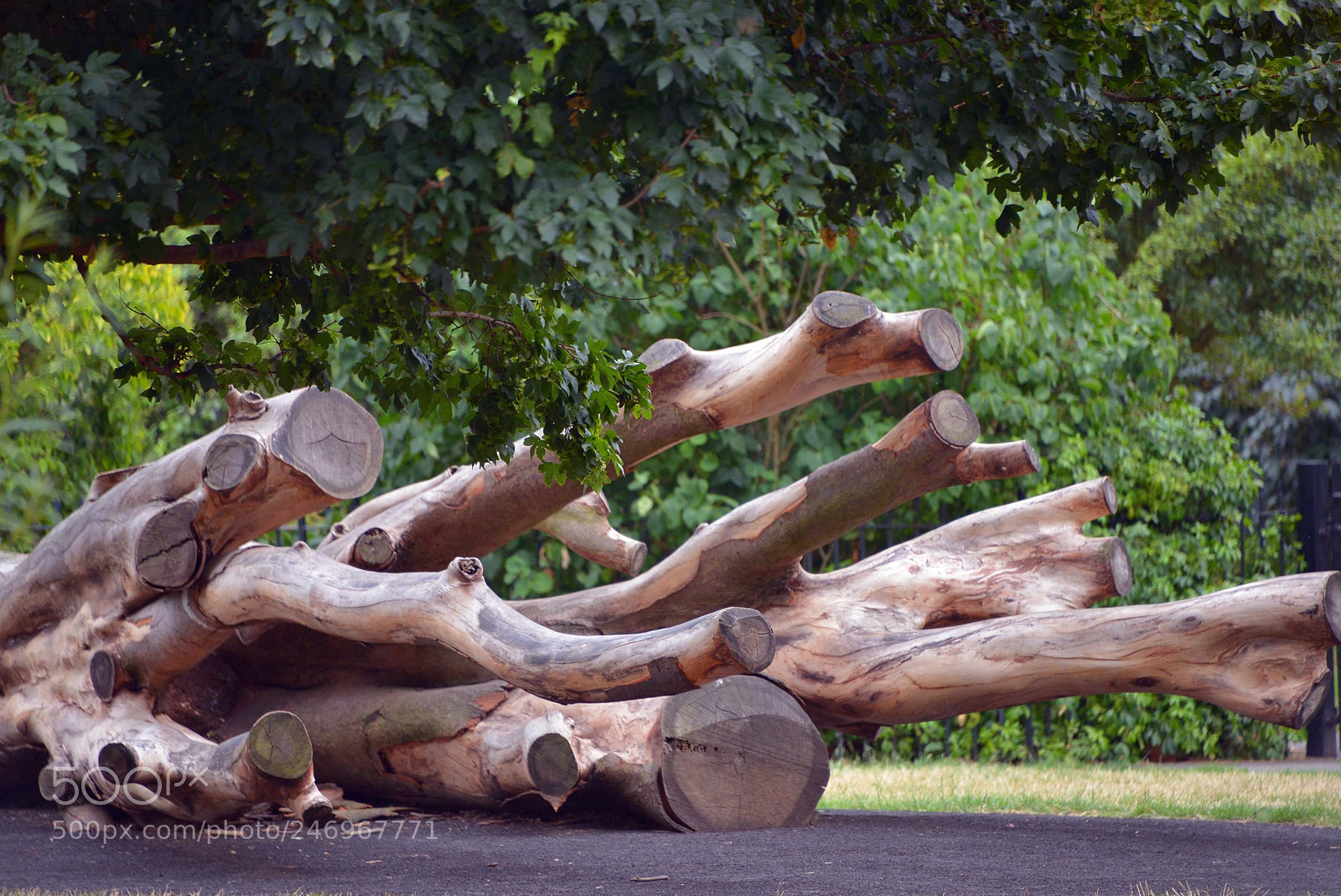 Nikon D800 sample photo. Taken at the hyde photography