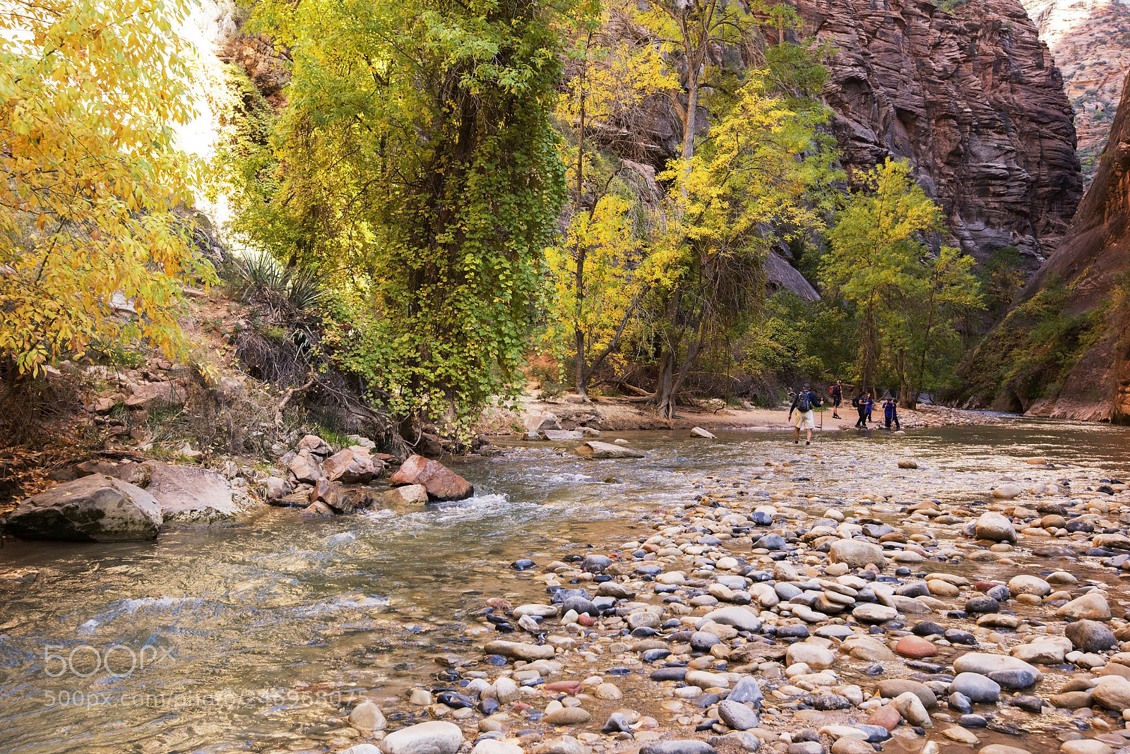 Nikon D600 sample photo. Intrepid explorers (1) photography