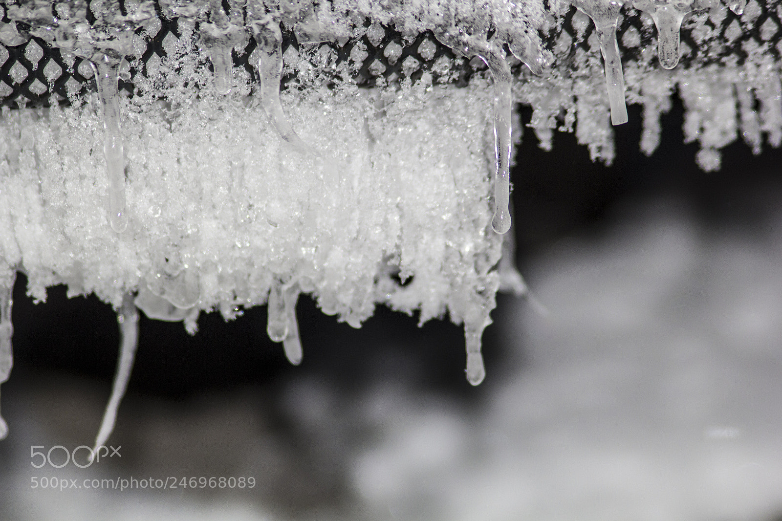 Canon EOS 60D sample photo. Ice crystals macro 2 photography