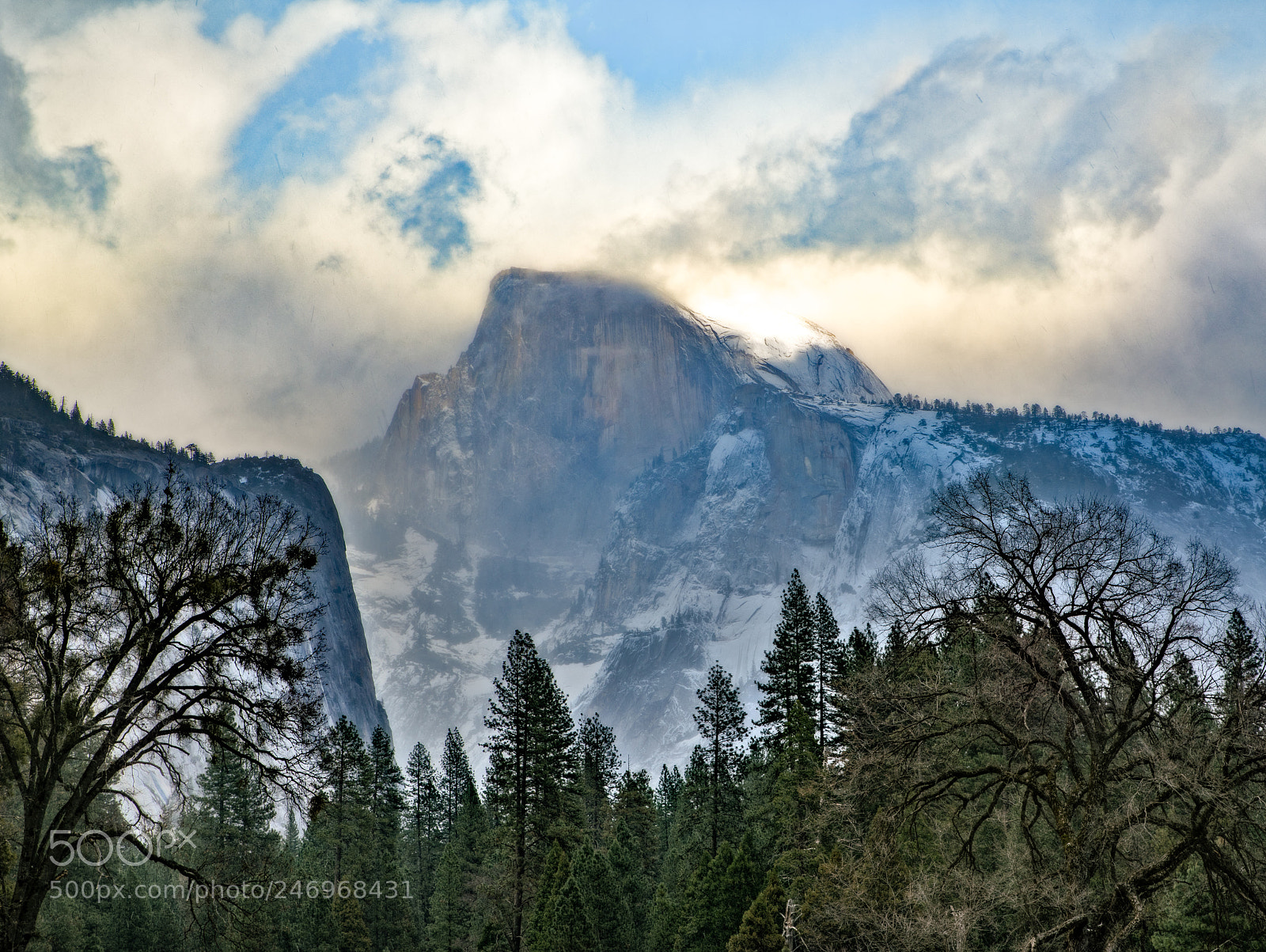 Nikon D850 sample photo. Revealed photography