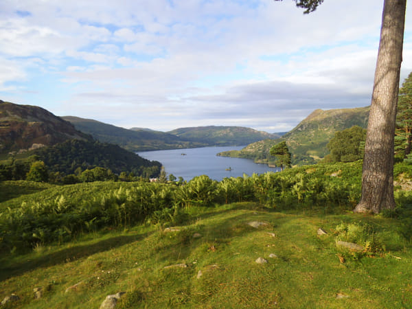 富士フィルム　jz250　動作確認済み 富士フィルム jz250 動作確認済み