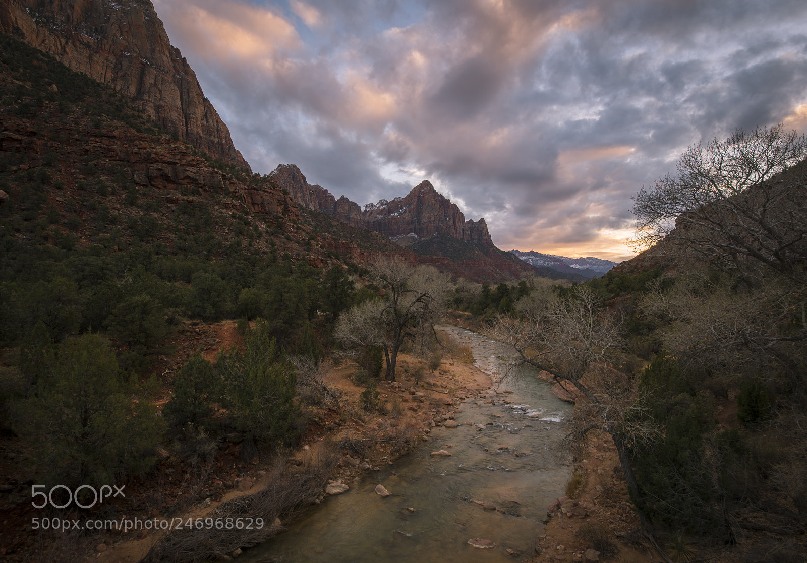 Nikon D600 sample photo. Zion sunset photography