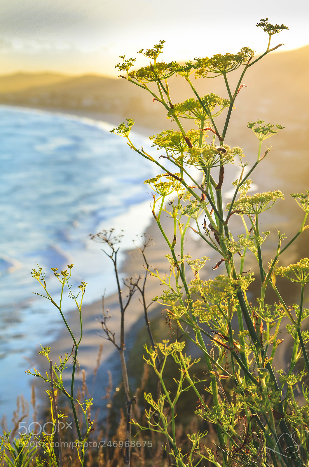 Nikon D5100 sample photo. Sunset over the beach photography