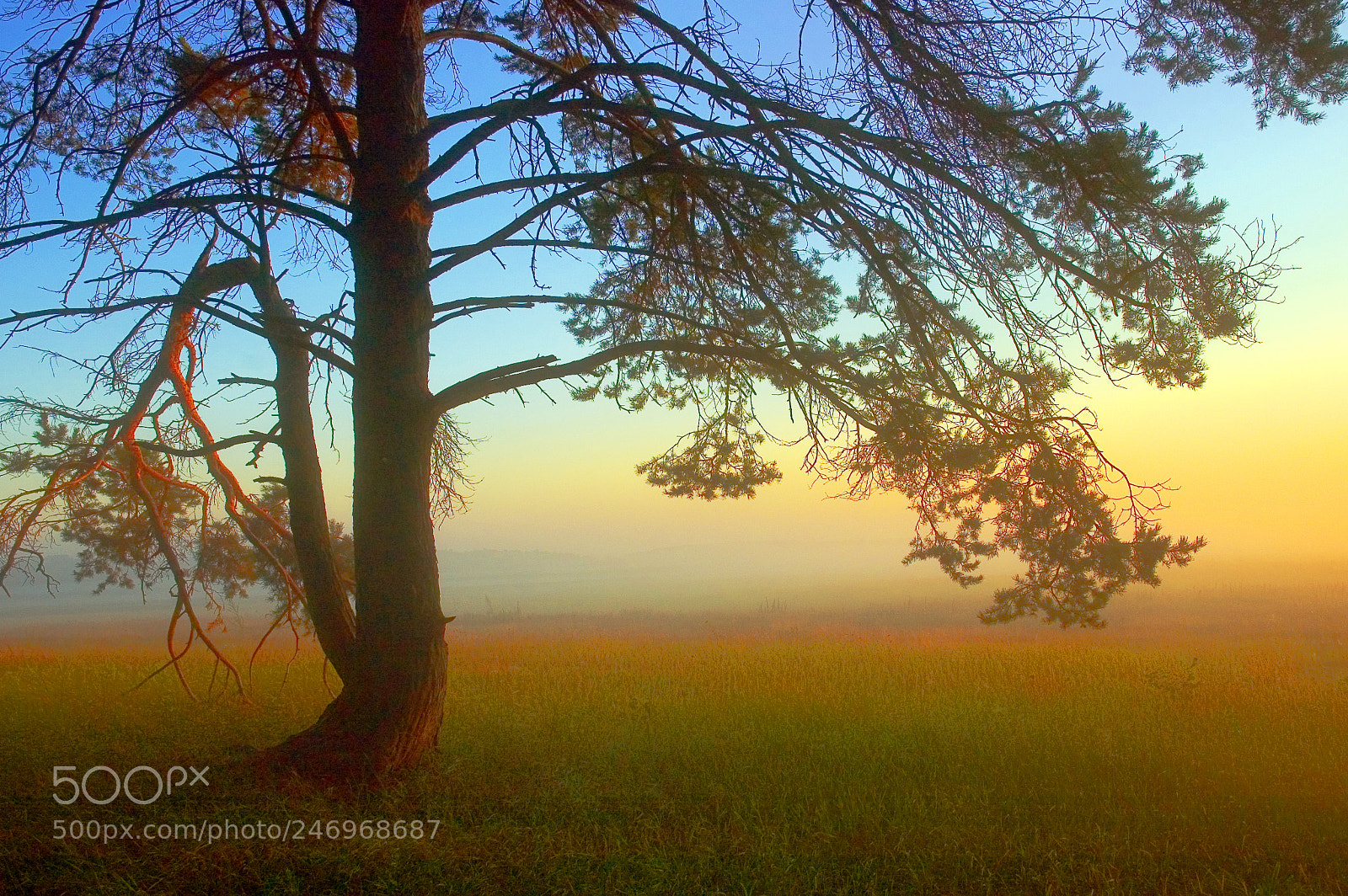 Nikon D70 sample photo. Sunrise photography