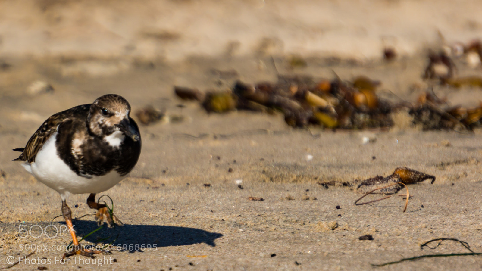 Sony Alpha NEX-5R sample photo. Strut photography