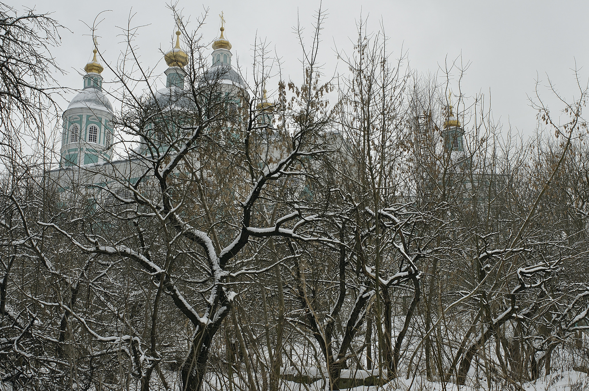 Nikon D90 + Nikon AF Nikkor 35mm F2D sample photo. Assumption cathedral photography