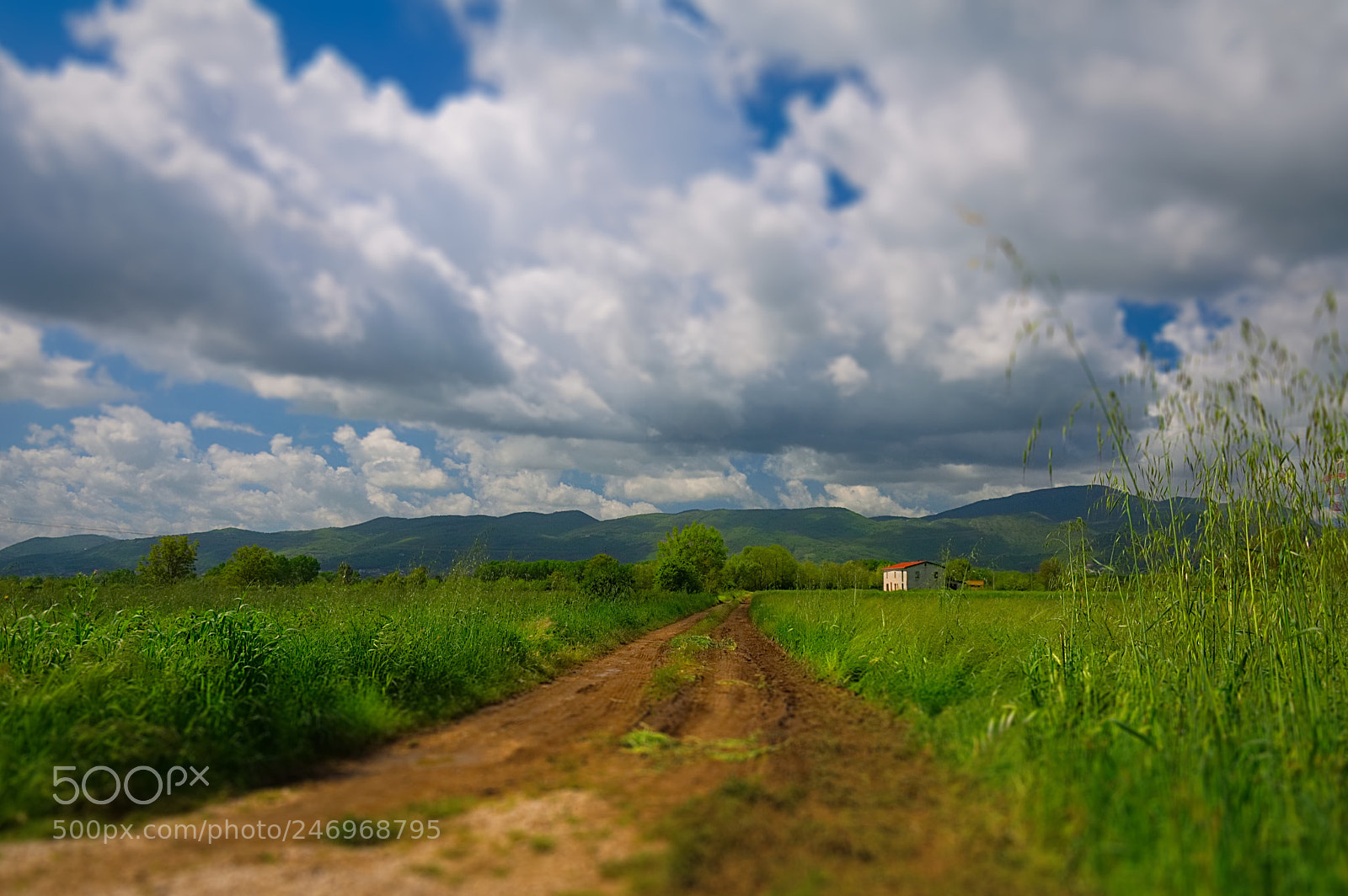 Nikon D90 sample photo. After the rain photography