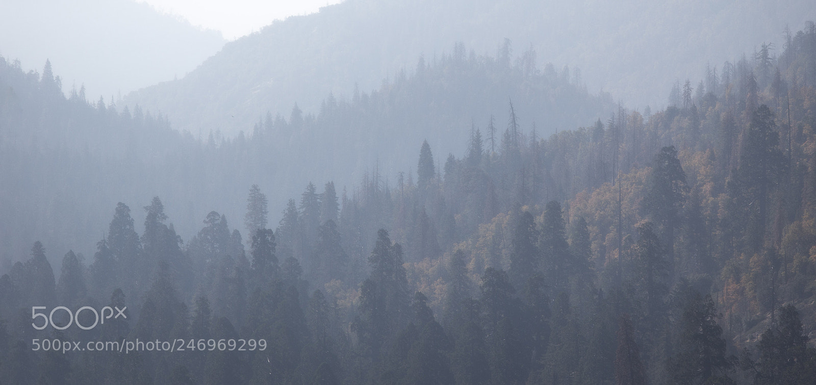 Canon EOS 60D sample photo. Phases photography